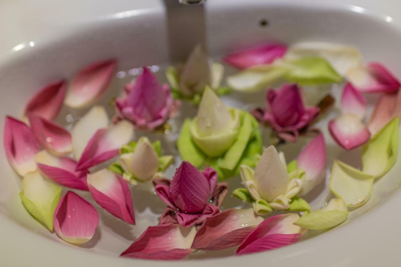 160 Angkor Villa シェムリアップ エクステリア 写真